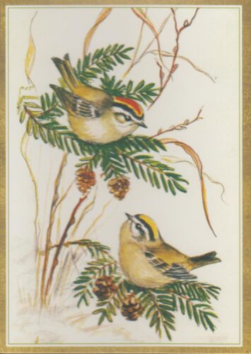 Neu unbenutzte Tasha Tudor zwei Vögel Weihnachtskarte mit Umschlag von Caspari - Bild 1 von 1