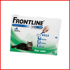 sphynx kitten clothes