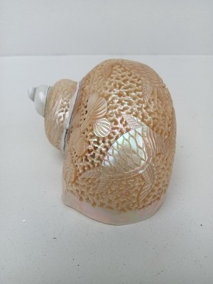 carved turbo Snail Shell Sea Turtle design,real and natural seashell