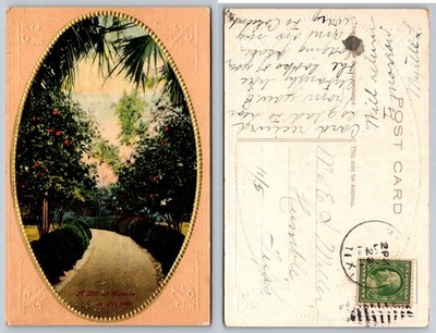 Vintage 1922 Florida Orange Grove Path Embossed Postcard Posted to Texas