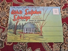 Greenbrier Resort Hotel White Sulphur Springs Lewisburg 1950's Postcard Folder