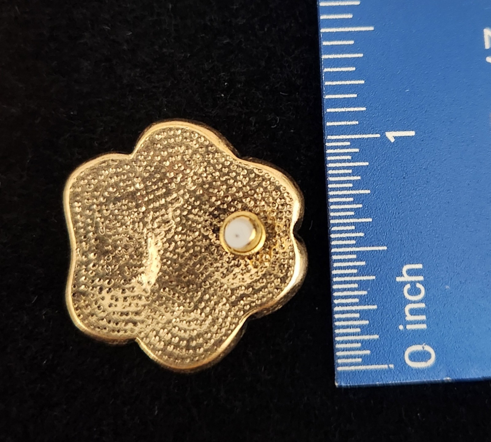 Adorable Heidi Daus Inspired Paw Print Earrings