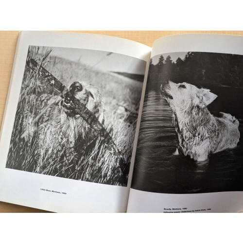 BRUCE WEBER Bruce Weber Hotel Room | eBay