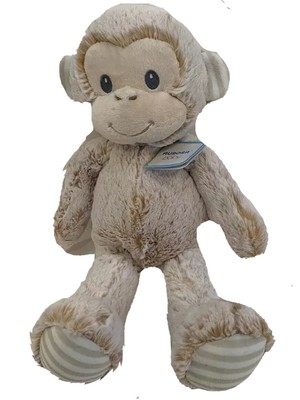 aurora baby monkey