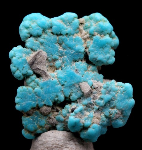 TÜRKIS Exemplar natürlicher echter Edelstein Nugget PAPOOSE MINE NEVADA