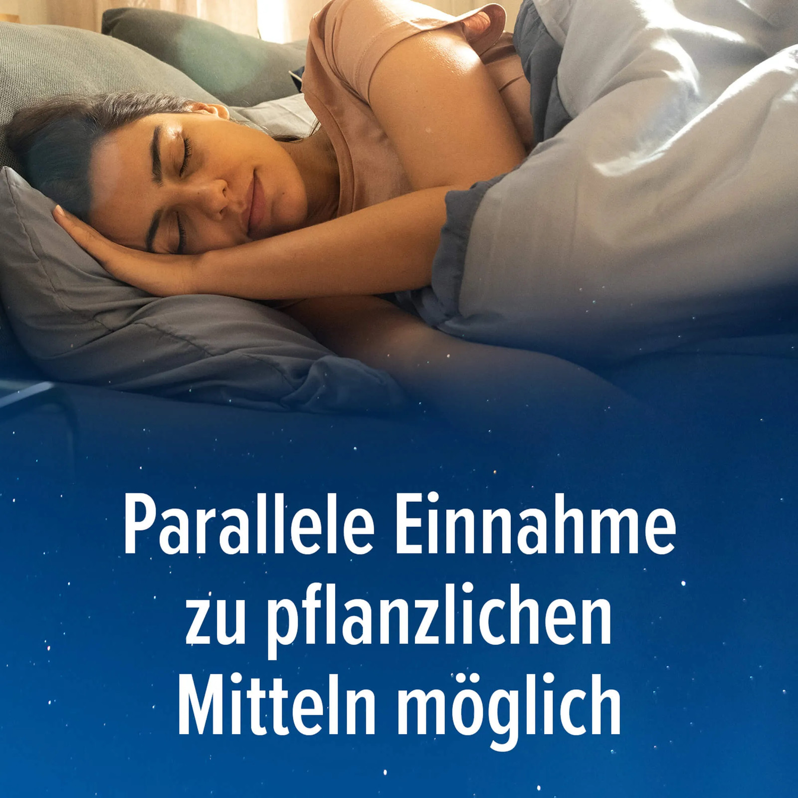 Bild 12 von 14