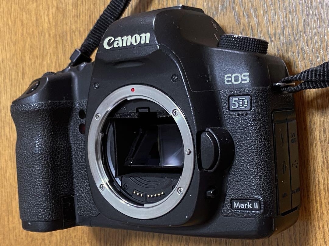 キャノンEOS 5D markⅡ EF40mm f2.8 セット 機材レビュー】Canon EF40mm F2.8 STM + BG-E11 - YM-PHOTO BLOG