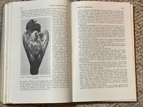 Keeping Livestock Healthy HC 1942 Government DC 1276 Pages Dept of Agriculture - Picture 19 of 21