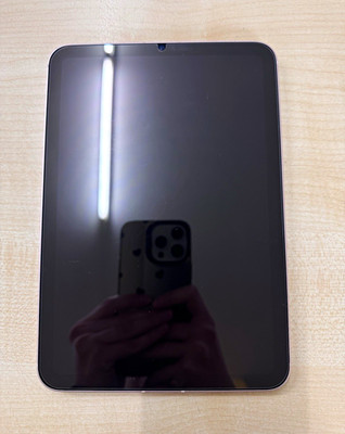 Apple iPad mini 6 8,3 Zoll 256GB Wi Fi USB C Rosa (MLX93NF/A)