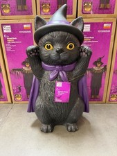 2026 Home Depot 2.5 Ft Cat Witch Halloween Blow Mold