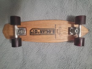 Logan Earth Ski | eBay