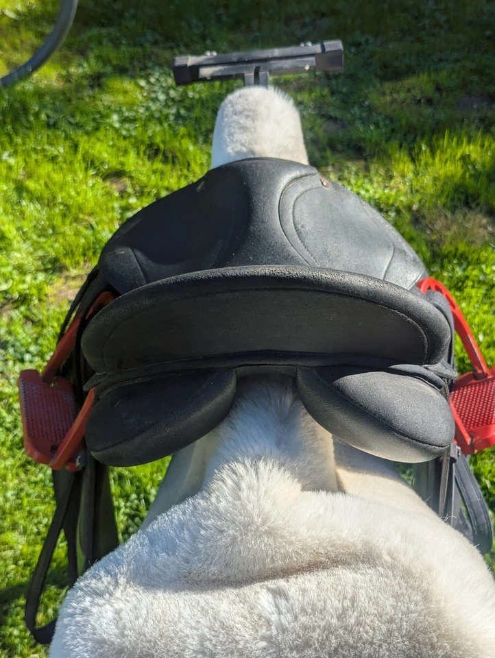 Wintec Dressursattel "Isabel Wert" - Bild 2 von 4