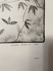Picture 3 of 6
