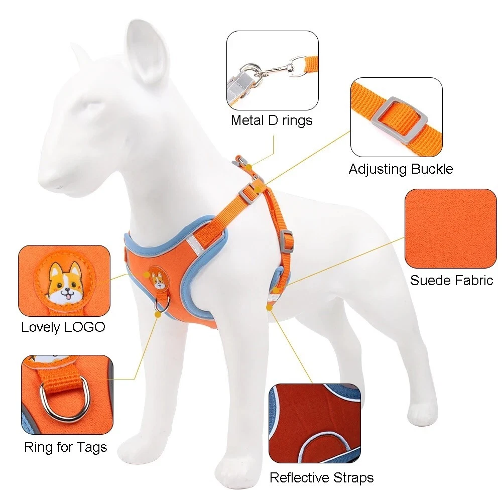 Dog Harness Set No Pull Adjustable Reflective Breathable Harness French Bulldog