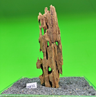 Bild 97 von 162