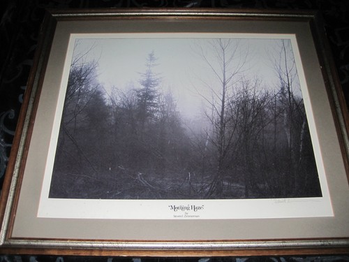 Steven Zimmerman "Early Morning Mist & Morning Haze" foto/stampe 22x19" - Foto 7 di 11