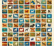 Puppy Dog Breeds Animals Blocks Ecru Cotton Fabric QT Must Love Dogs 35