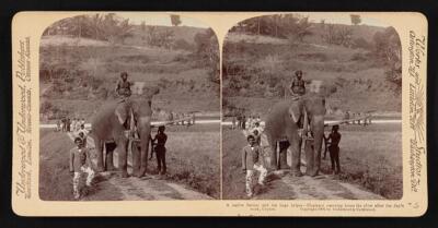 Sri Lanka A native farmer and his huge helper--elephant carrying - Old Photo 2