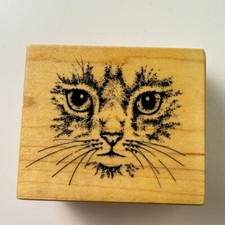 Kitten Face Cat Whiskers Intricate Details Rubber Stamp 2.25" X 2" PSX E-951