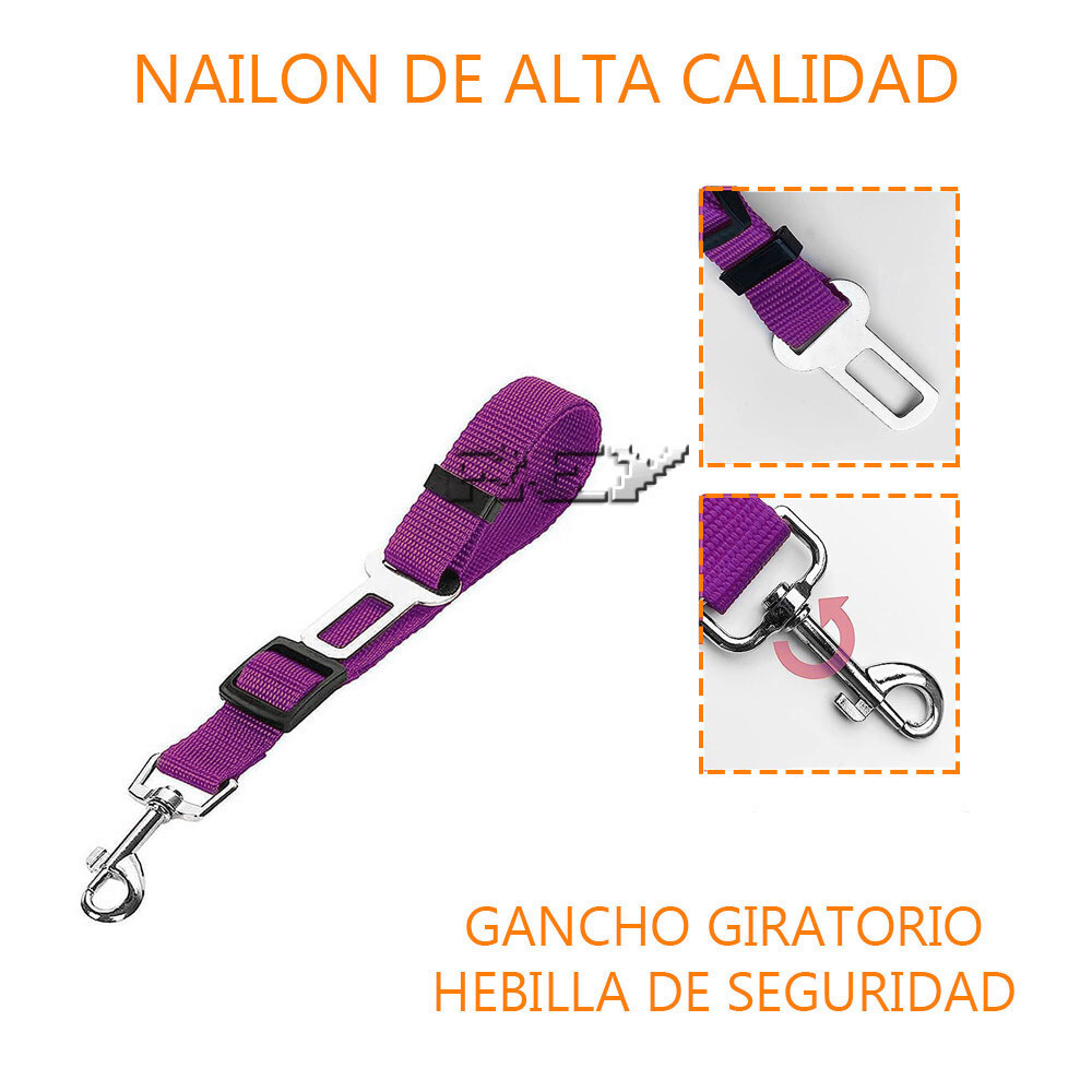 Imagen 3 de 6