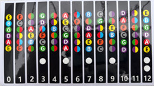 UK STOCK - Beginner Guitar Fretboard Stickers - learn notes/scales/chords.