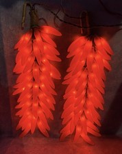 Lot Of 2- 50 Summer Hot Nights Chili Pepper L...
