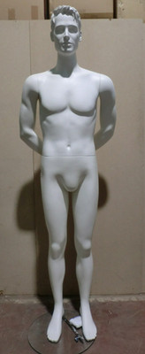 Mannequin Mannequin Doll Fashion Doll Male 10972 Man Doll