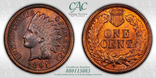 1891 Indian Head Cent Repunched Date FS-301 S-3 CAC MS-63 RB
