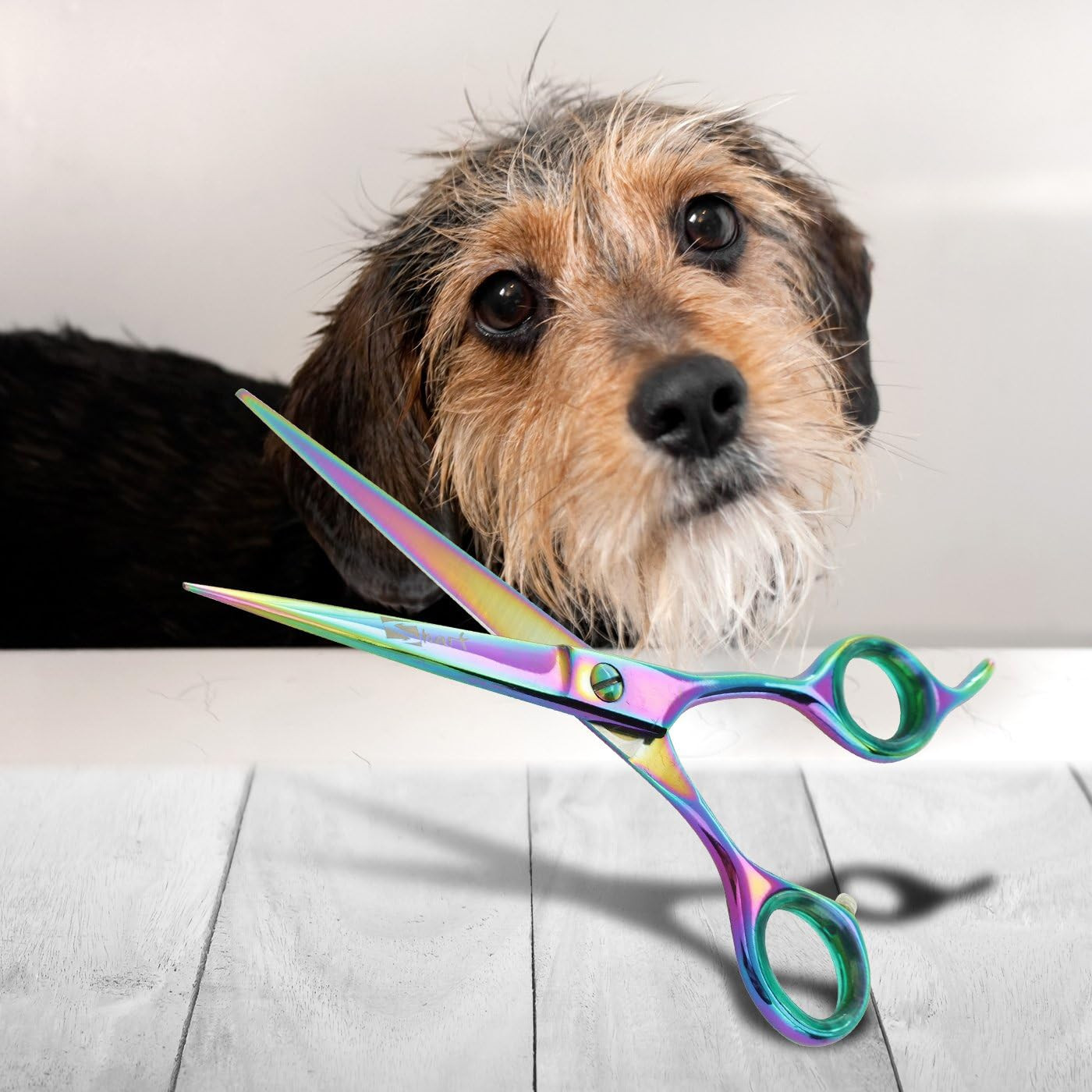 6.5 Inch Straight Rainbow Pet Scissors for Grooming Small Dogs - Professional Pr