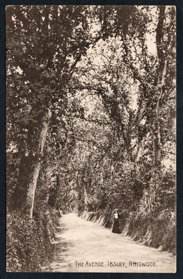 Postkarte Ibsley bei Ringwood New Forest Hampshire die Avenue frühe Ansicht