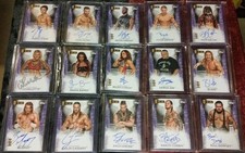 2015 Topps WWE Wrestling Cards 14