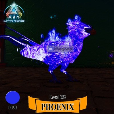 Ark Survival Ascended PC/PS5/XBOX Official PVE- Phoenix Blue Level 362