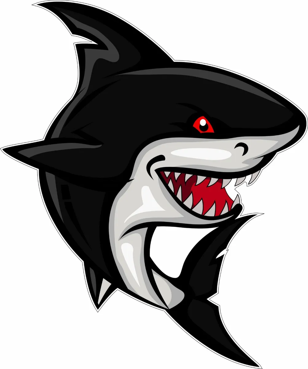 Shark Logo png images | PNGWing