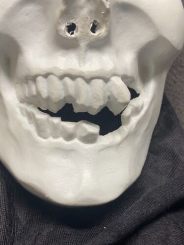 Máscara de esqueleto calavera de Halloween de colección que brilla en la oscuridad ojos holográficos disfraz - Imagen 5 de 10