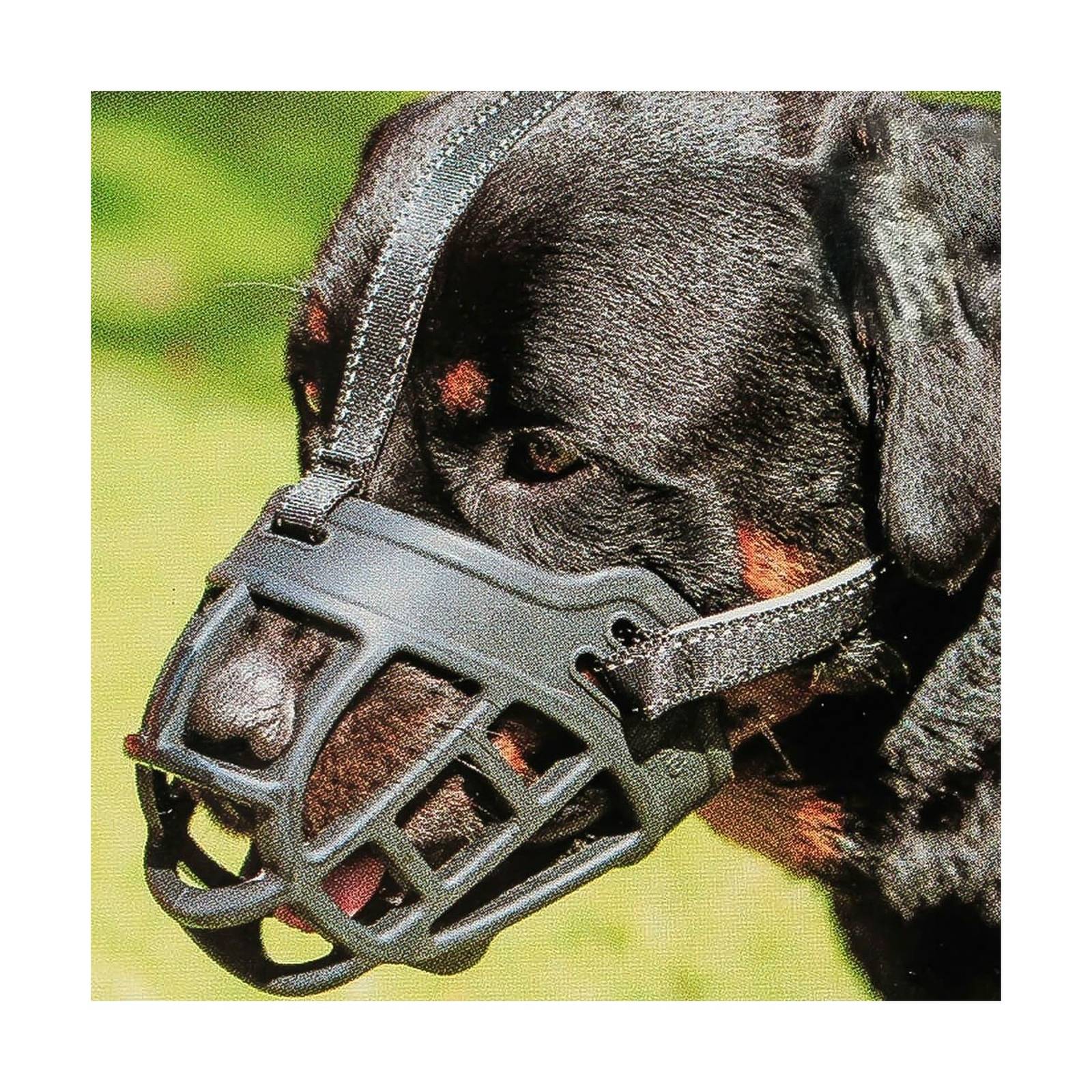 best muzzle to prevent barking