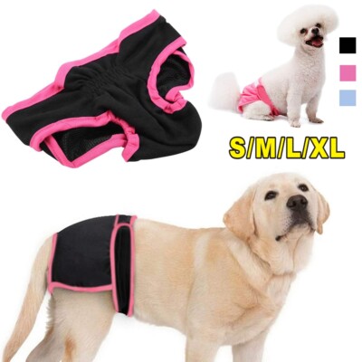 dog menstrual pants