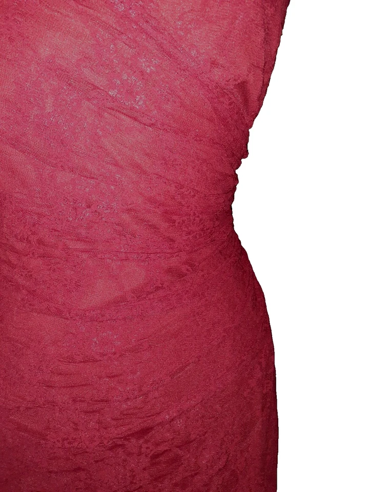 AMERICAN LIVING 12 码紧身连衣裙红色花卉蕾丝无袖及膝 — 第 3/4 张图片