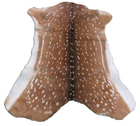 Axis Deer Hide Rug Grade Antelope Rug Axis Deer skin Argentina Axis ...