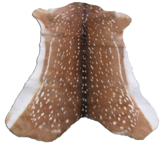 Axis Deer Hide Rug Grade Antelope Rug Axis Deer skin Argentina Axis ...