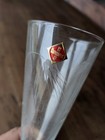 Cg Quartzex Etched Pilsner Glasses – Set of 6 – Brand New in Original Packaging
