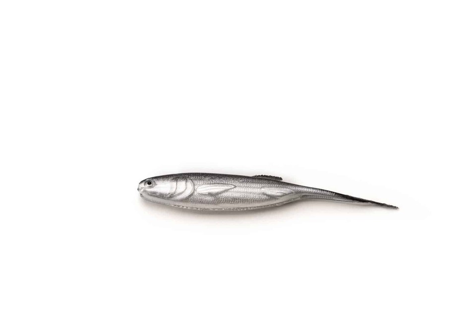 Esca Da Pesca Molix Trago Spin Tail Willow 1/2 Oz - Blueback Herring, Con Girella E Lama Willow, Per Predatori