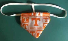 Mens UNIVERSITY of TENNESSEE Vols College Gstring Thong Male Underwear