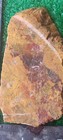 Rough Slab Red N Yellow Jasper 96g. 5/16" Thick Lapidary Cabbing #c-2 — photo 5