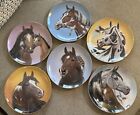 A Heritage of Horses Danbury Mint Plates by Derk Hansen (6 pc) New - Mint!