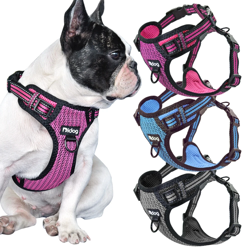 Rete imbottitura Pettorina Imbragature per cani riflessivo Bulldog No Pull  S M L