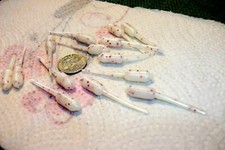 200-1 1/2"-crappie-panfish-soft grubs-jigs-scent-stingers-minnows-lures-fishing