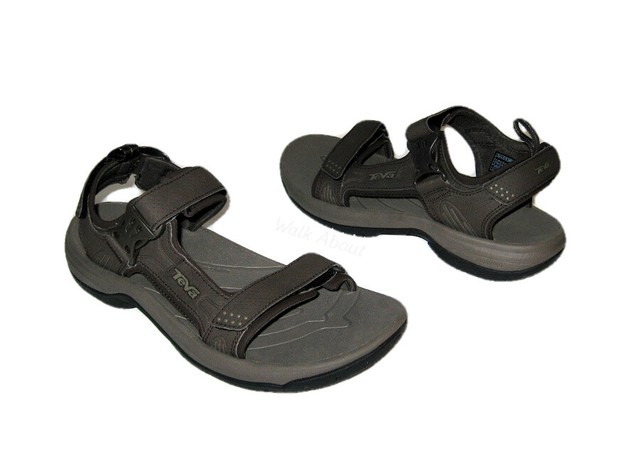 teva holliway