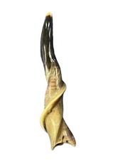 Yemenite Eland Shofar -1 Judaica Kosher-made Polished Eland Horn Shofar Trumpet