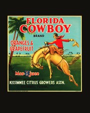 1933-34 V357 Ice Kings Hockey Cards 20