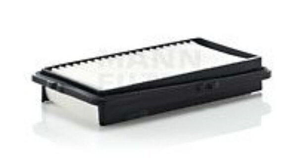MANN-FILTER C2537/2 Filtro aria 17220-P45-G00